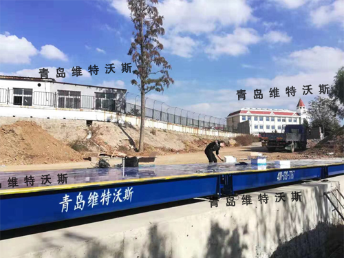 優質電子衡供應廠家 優質電子衡供應廠家